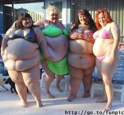 wa tbark lah chnou had  l7lalef ???!!!!!!................